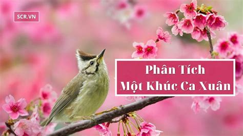  Chương trình Kırmızı Şarkı: Một khúc ca về lòng yêu nước và sự phản kháng mạnh mẽ của giới trẻ